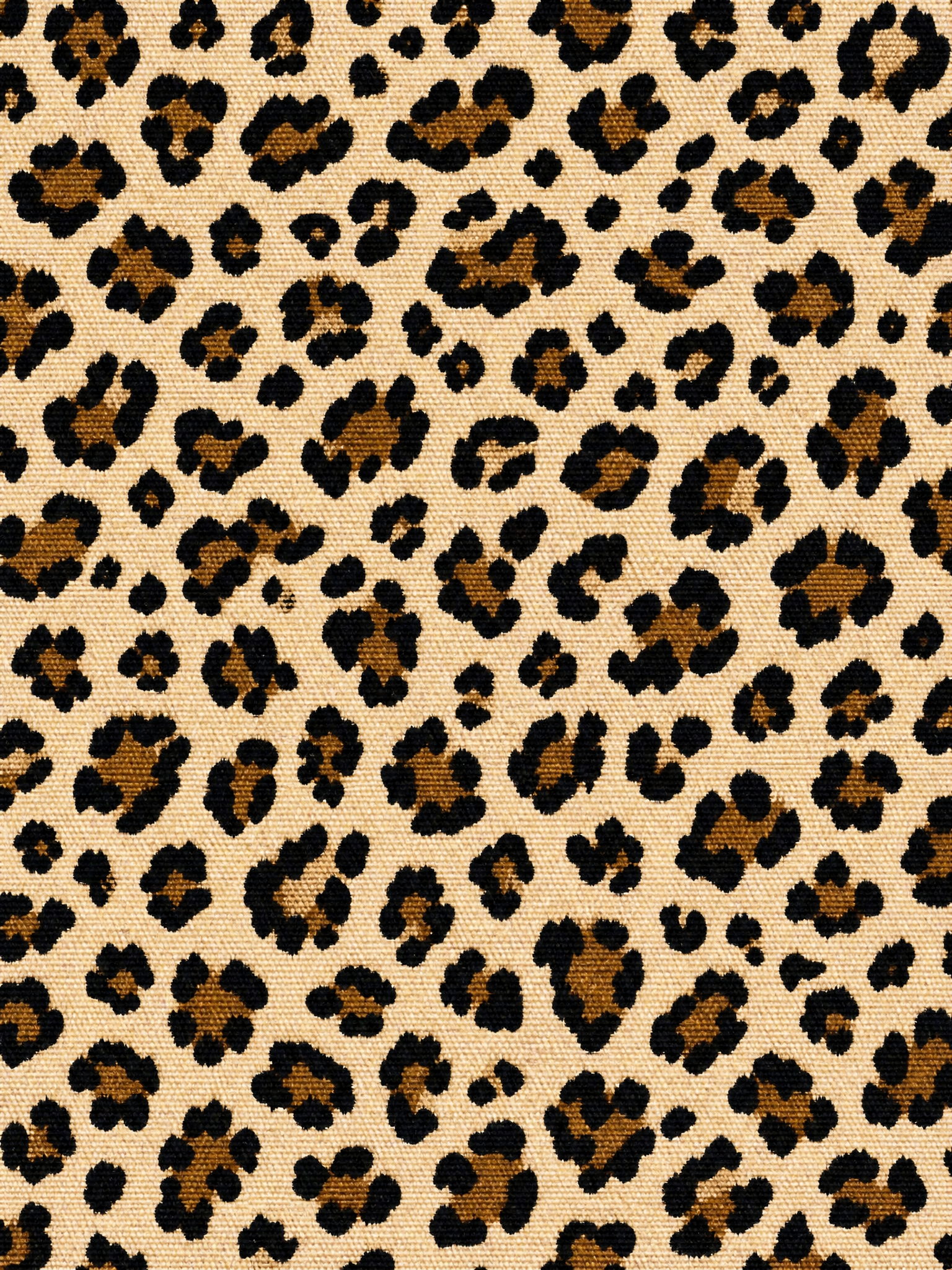 AI相似图创作 create-similar-image 1780020757584-a6sg3b_1780020757996.png