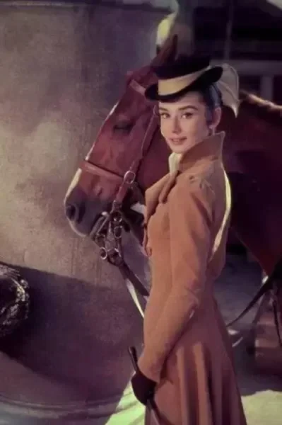 AI放大变高清 image-enhancer-sharpener-upscaler dcff24a73c46370f7fde30b21bad9bb4_cmp@399x600.webp