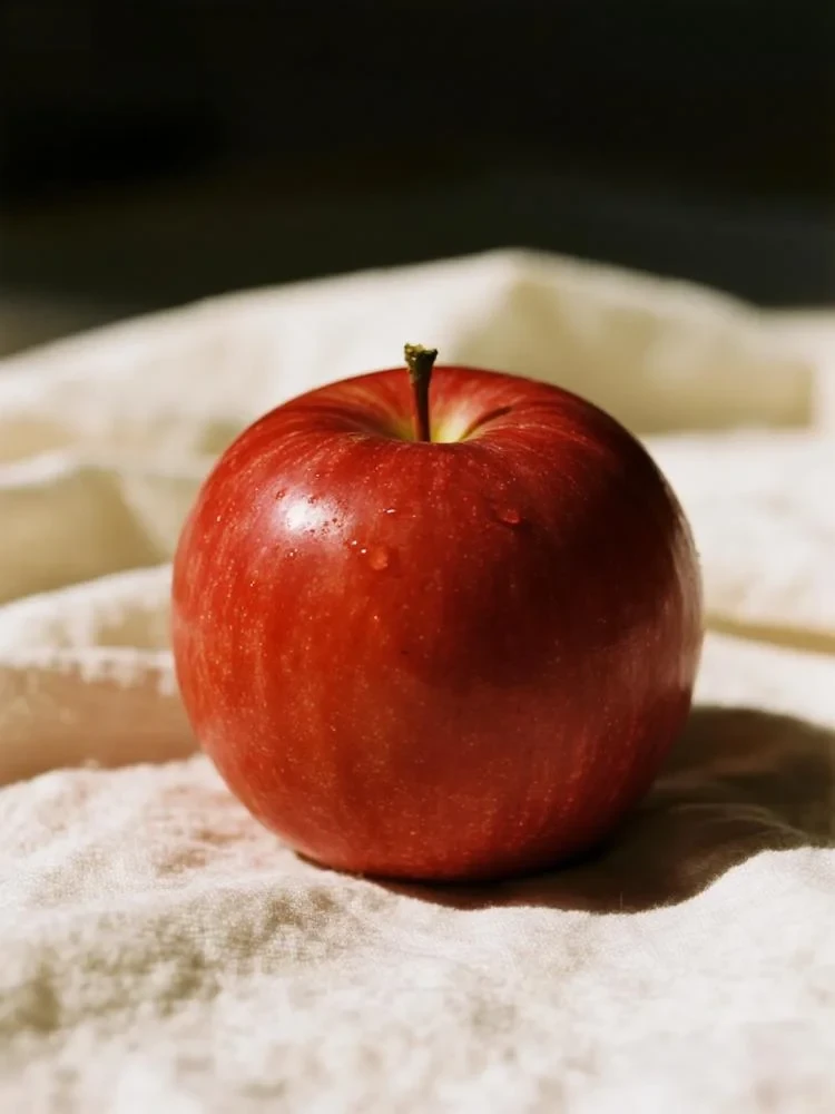 AI相似图 create-similar-image 4091cce6152a1e353d99d46dfc5d5f9f_cmp@750x1000.webp